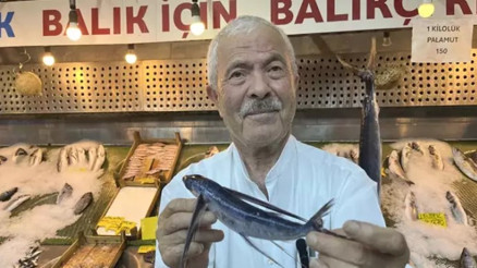 Marmara Denizi açıklarında uçan balık yakalandı