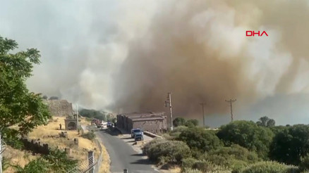 Çanakkalede makilik alanda yangın