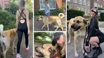 Londra’da yaşayan İngiliz Isidora’nın ‘Kangal’ tutkusu Londra’da yaşayan İngiliz Isidora’nın ‘Kangal’ tutkusu