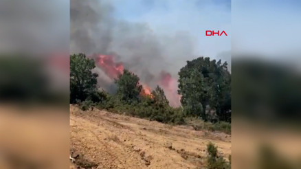 Bingöl’ün Genç ve Kiğı ilçelerinde orman yangını