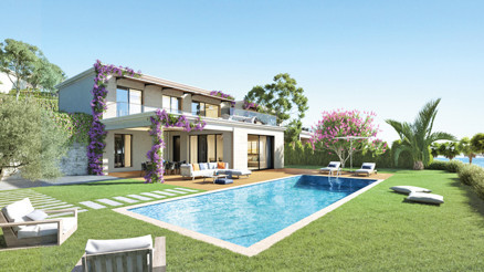 Mavi Arya birinci etapta yaşam başladı