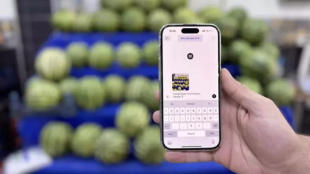 Yapay zeka karpuzun da iyisinden anlıyor