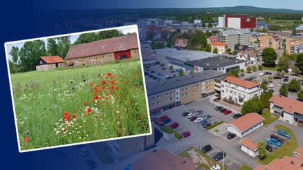 Bir fincan kahve fiyatına satılık arsalar ‘Telefonlarımız susmuyor çok fazla talep var’ | 1000 kişilik nüfusa sahip, tek şart ise…