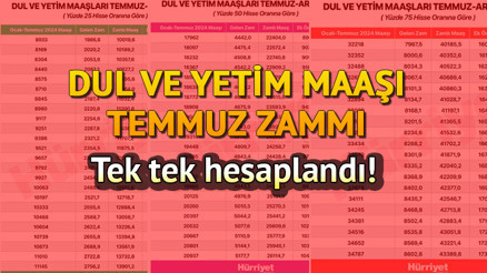 DUL VE YETİM MAAŞI YENİ ZAMLI TUTAR TEMMUZ 2024  || Dul ve yetim maaşı ne kadar oldu, yüzde kaç arttı Dul ve yetim aylığına zam geldi mi İşte yeni tutarlar