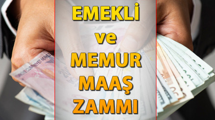 EMEKLİ MEMUR MAAŞI HESAPLAMA 2024 TEMMUZ (KALEM KALEM ZAM TABLOSU) || Memur ve emekli maaş zammı ne kadar oldu Yeni (Temmuz 2024) memur emekli maaşı hesaplama robotu