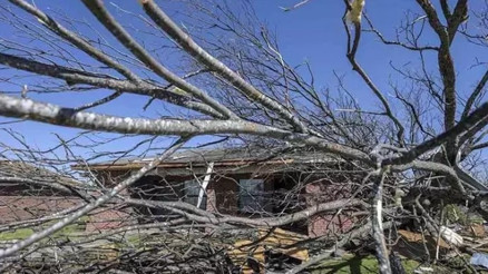 Beryl Kasırgası’nda bilanço artıyor... Kasırga, Texas’a ulaştı: Uçuşlar iptal edildi