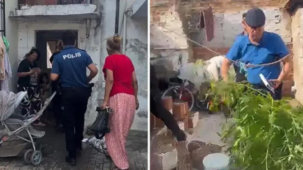 Evinin bahçesinde kenevir yetiştiren şüpheliden Su döktüm, büyüdüler savunması