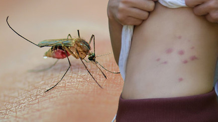 Virüs tehlikesi kapımıza dayandı İranda vaka sayısı 12ye yükseldi… Bu türün yayılımı artarsa bizde de benzer durumlar görülebilir Virüs tehlikesi kapımıza dayandı İranda vaka sayısı 12ye yükseldi… Bu türün yayılımı artarsa bizde de benzer durumlar görülebilir