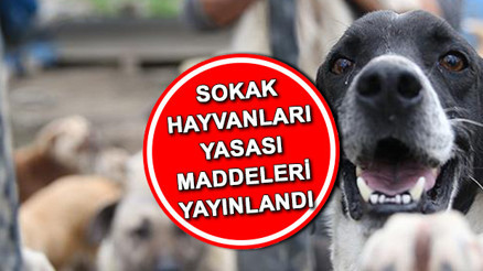 Sokak hayvanları yasası yürürlüğe girdi mi, 5. madde nedir Sokak hayvanları kanunu Resmi Gazetede yayımlandı İşte hayvanları koruma kanunu maddelerinin tamamı Sokak hayvanları yasası yürürlüğe girdi mi, 5. madde nedir Sokak hayvanları kanunu Resmi Gazetede yayımlandı İşte hayvanları koruma kanunu maddelerinin tamamı