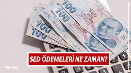 SED yardımı ödeme tarihi ağustos 2024 | SED yardımı ne zaman yatacak, yattı mı, hangi gün verilecek İşte 2024 Ağustos ayı çocuk yardımı (SED) ödemesinde son durum