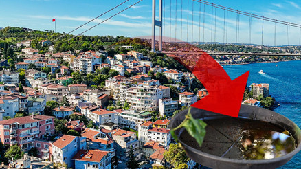 İstanbulda iki ilçede yaygınlaştı Birçok hastalığa neden oluyor... Uzmanlar uyardı: Balkon ve bahçenize su bırakmayın İstanbulda iki ilçede yaygınlaştı Birçok hastalığa neden oluyor... Uzmanlar uyardı: Balkon ve bahçenize su bırakmayın