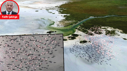 141 doğa harikası daha bizi terk etti