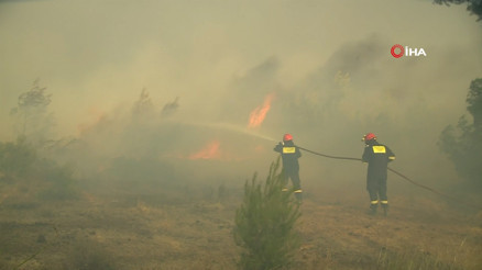 Yunanistan’da orman yangını Dumanlar Atinaya yaklaştı