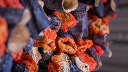 Dört Farklı Yöreden Evde patlıcan nasıl kurutulur Kışlık patlıcan kurutmanın püf noktaları