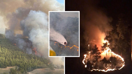 Manisa ve Çanakkalede orman yangını Çanakkalede tarihi alana girişler durduruldu