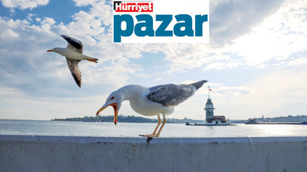 Zamanı durduran tek şey