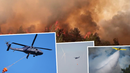 AFAD Başkanı Okay Memiş: 3 ilde 142 yapı yangında hasar aldı AFAD Başkanı Okay Memiş: 3 ilde 142 yapı yangında hasar aldı