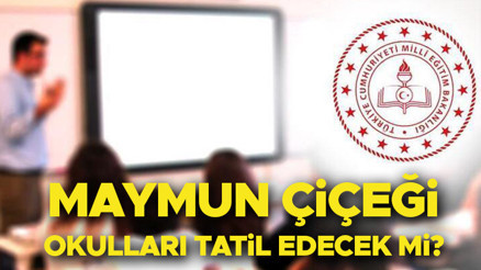 Maymun çiçeği okulları tatil edecek mi, kapanacak mı 2024 Son dakika gelişmeler: Maymun çiçeği nedeniyle okullar tatil iddiası gerçek mi Sosyal medyanın gündeminde...