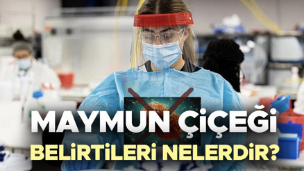 MAYMUN ÇİÇEĞİ BELİRTİLERİ NELERDİR | Maymun çiçeği hastalığı nedir, nasıl anlaşılır, ilk belirtileri nelerdir Maymun çiçeği (MPox)virüsü nasıl bulaşır, tedavisi var mı