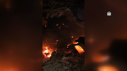 Mersindeki orman yangını kontrol altına alındı