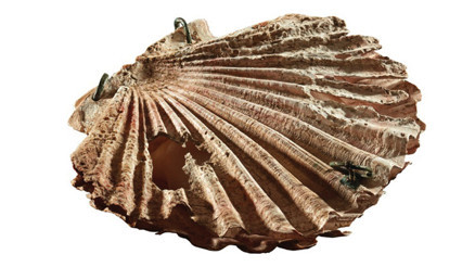 Dünyadaki üç örnekten biri