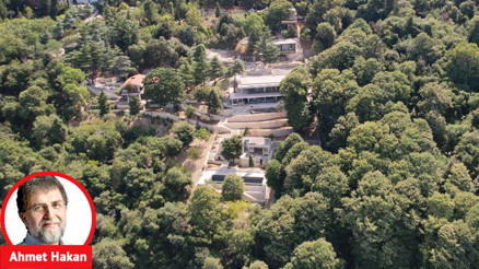 Bu pervasızlık gücünü nereden alıyor