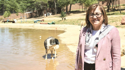 Fatma Şahin’den belediyelere barınak çağrısı: Projeyi verelim hemen yapın Fatma Şahin’den belediyelere barınak çağrısı: Projeyi verelim hemen yapın