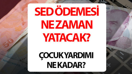 Çocuğu okula giden ailelere yardım ödemesi SED yardım başvurusu nasıl yapılır ve ne zaman yatacak
