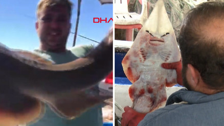 İnsan yüzlü balık Antalyada oltaya takıldı... Nesli azalma tehlikesi ile karşı karşıya