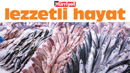 Balık sezonu açıldı, rastgele Balık sezonu açıldı, rastgele