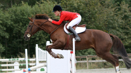 Binicilik paralimpik oyunları Google Doodle oldu Paris 2024 Paralimpik oyunları Türkiyeden katılan sporcu var mı