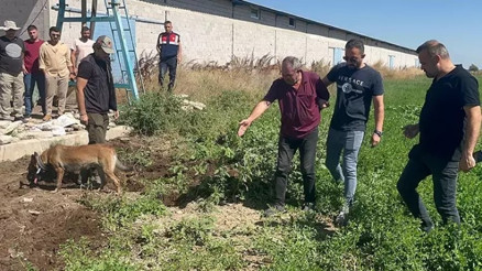 Öldürüp gömdüğü dayısına hacca gitti süsü vermiş