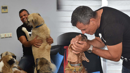 İş insanının merhameti kalpleri ısıtıyor: Fabrikasını yaralı, felçli ve terk edilmiş hayvanlara açtı İş insanının merhameti kalpleri ısıtıyor: Fabrikasını yaralı, felçli ve terk edilmiş hayvanlara açtı