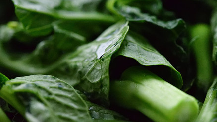 Bebek sahibi olmak isteyenler bol bol yesin Hangi besinler doğurganlığı artırıyor