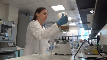 Meyve atıkları çöpe değil gelire dönüşecek