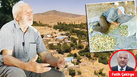 ‘Orman Dede’nin imdat çığlığı... Tarım ve Orman Bakanı lütfen duyun bu sesi