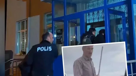 Atların fotoğrafını çekmek istediler, zorbalıkla karşılaştılar