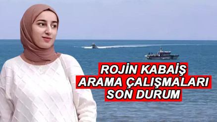 ROJİN KABAİŞ BULUNDU MU SON DURUM GELİŞMELERİ (8 EKİM 2024): Arama çalışmalarında 11 gün: Vanda kaybolan Rojin Kabaiş yaşıyor mu, nerede, nasıl kayboldu 100den fazla araç incelendi