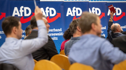 AfD yasağı taslağı Meclis’te AfD yasağı taslağı Meclis’te