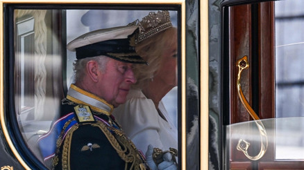 İngiltere Kralına hırsız diyen protestocuya gözaltı