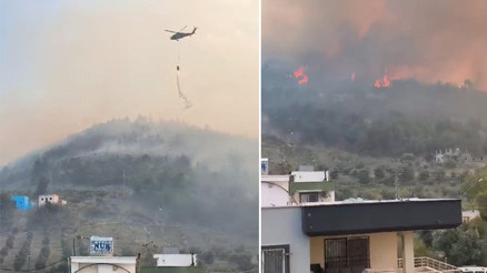 Hatay Arsuzda orman yangını Rüzgarın etkisiyle yayıldı... Evler tahliye edildi