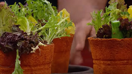 Masterchef Ben Saksı Değilim tarifi: Ben Saksı Değilim nasıl yapılır, malzemeleri neler Masterchef Ben Saksı Değilim tarifi: Ben Saksı Değilim nasıl yapılır, malzemeleri neler