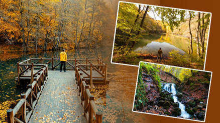 Sonbaharın renkli güzelleri: Milli parklar… Doğa yürüyüşü, kuş gözlemciliği ve daha fazlası… 8 ŞEHİR 8 ADRES