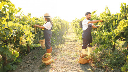 Ne eksiğimiz var Toskana’dan