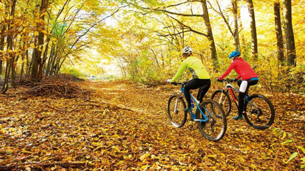 Pedallamanın tam zamanı