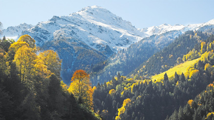 Böğürtlenlerin, ahududuların peşinde adım adım yükseklere...