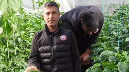 Türkiye’nin en acı biberi zayıflamaya yardımcı oluyor