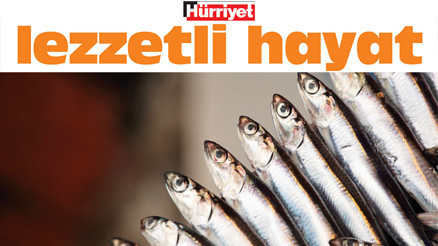 Ona balık demeyin hamsi demek yeterli Ona balık demeyin hamsi demek yeterli