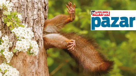 Doğanın neşe kaynakları