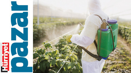 Pestisitlerin yanlış kullanımı yaşamı tehdit ediyor Mevsiminde yenmeli, hijyenik, taze ve diri olmalı